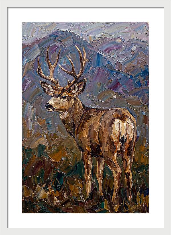 Mule Deer In Nature