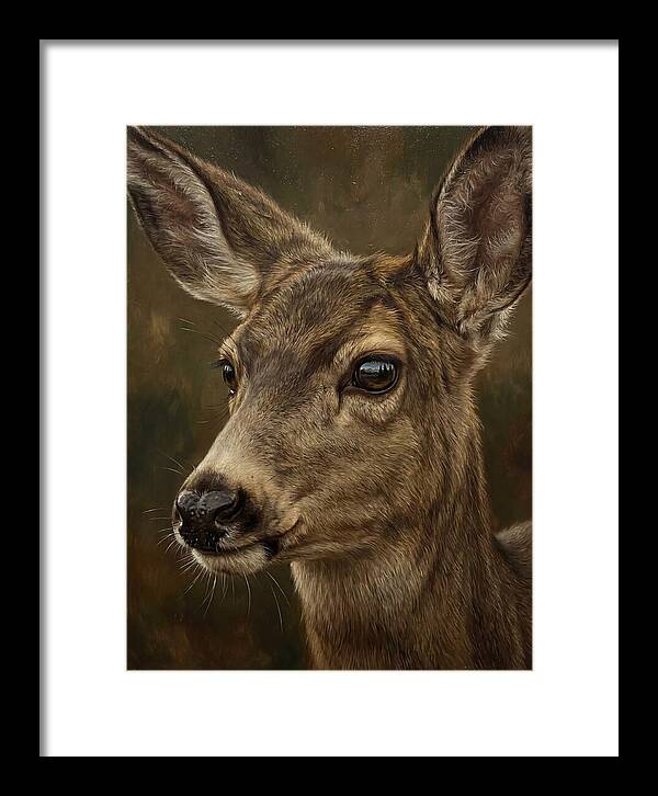 Mule Deer Portraiture