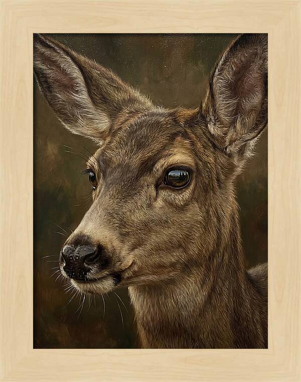 Mule Deer Portraiture