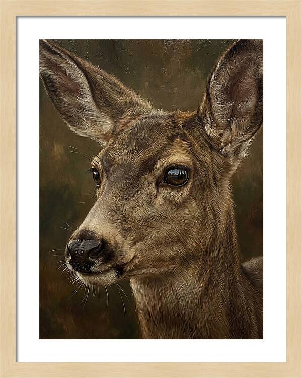 Mule Deer Portraiture