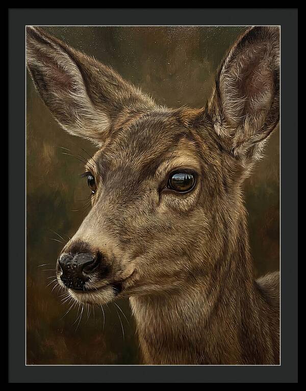 Mule Deer Portraiture