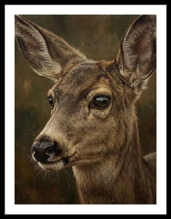 Mule Deer Portraiture