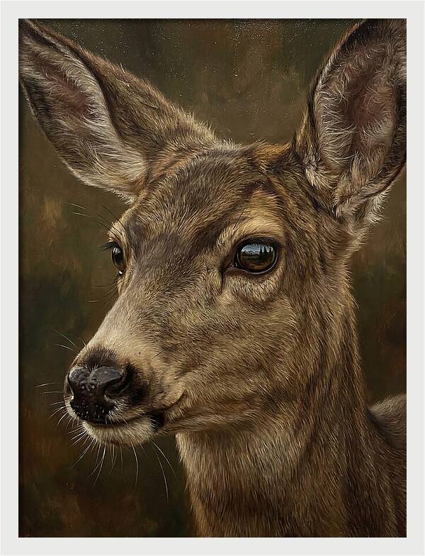 Mule Deer Portraiture