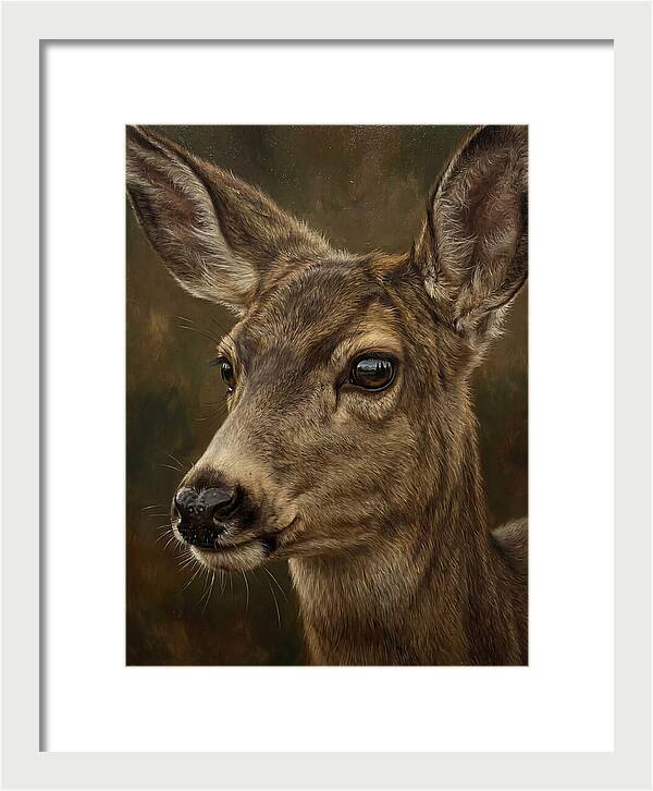 Mule Deer Portraiture