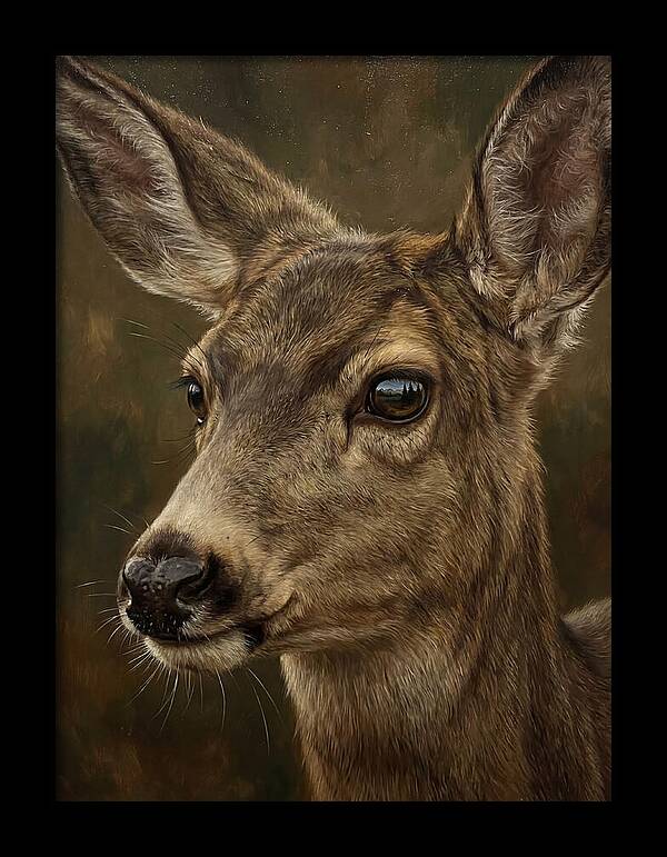 Mule Deer Portraiture