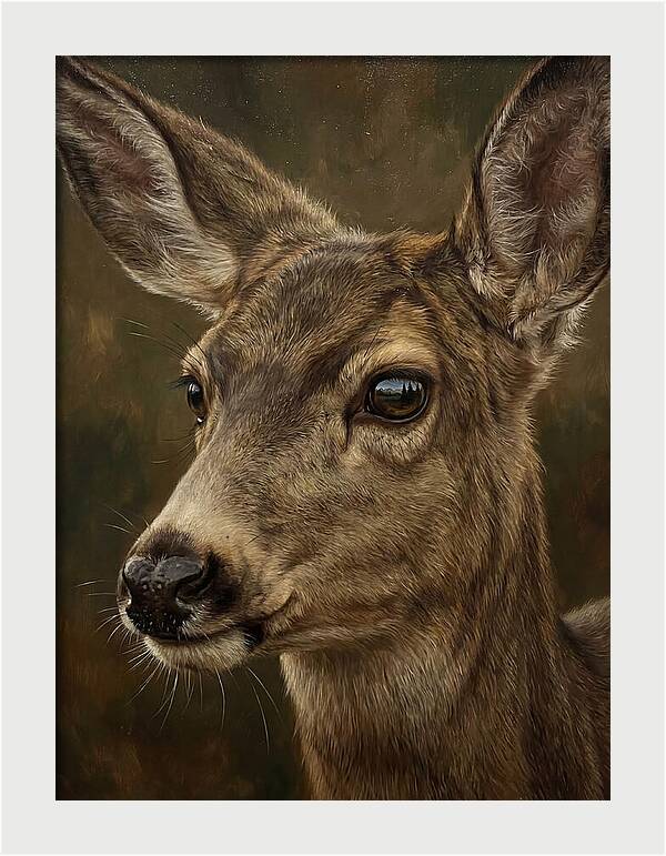 Mule Deer Portraiture