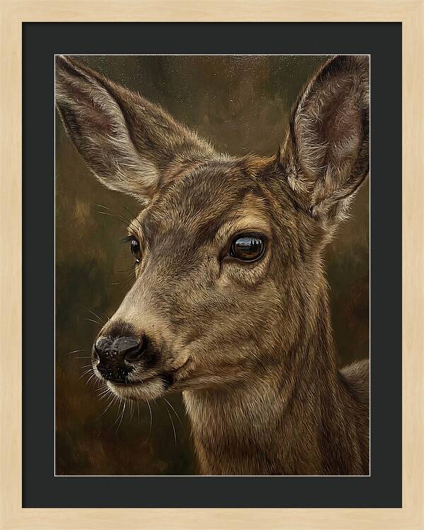Mule Deer Portraiture