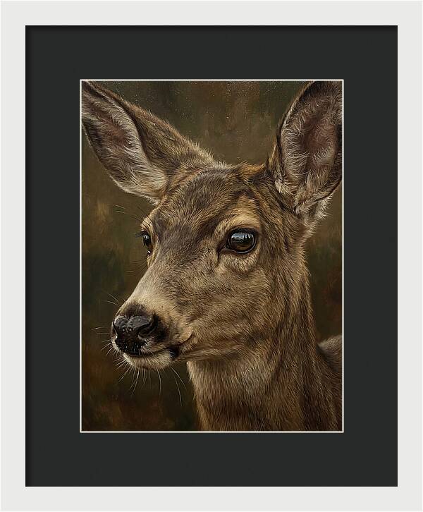 Mule Deer Portraiture