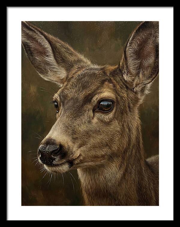 Mule Deer Portraiture