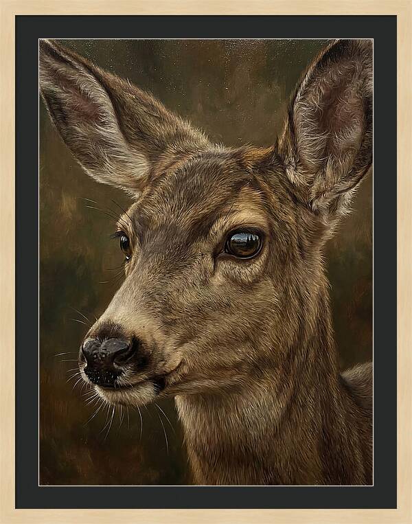 Mule Deer Portraiture
