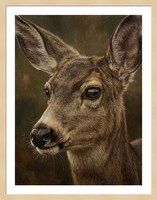 Mule Deer Portraiture