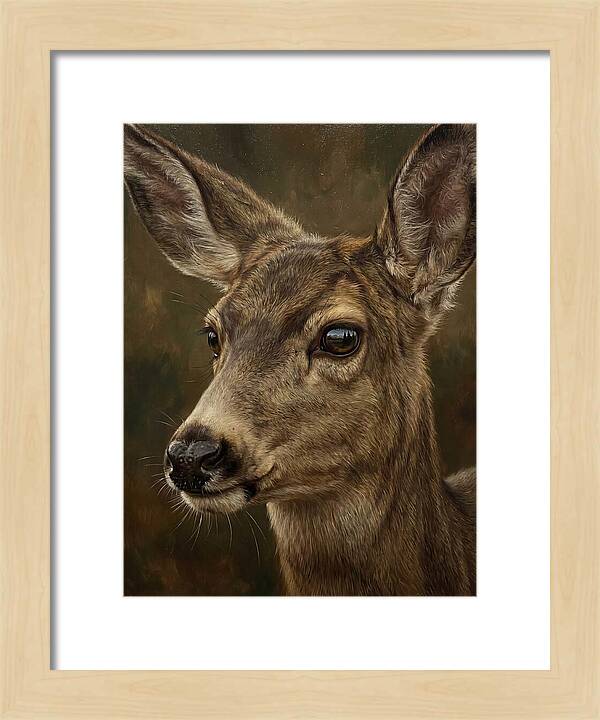 Mule Deer Portraiture