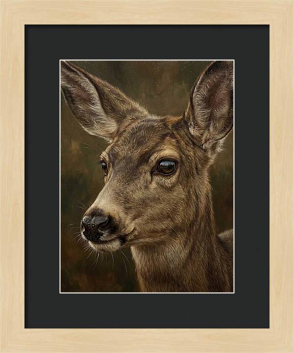 Mule Deer Portraiture