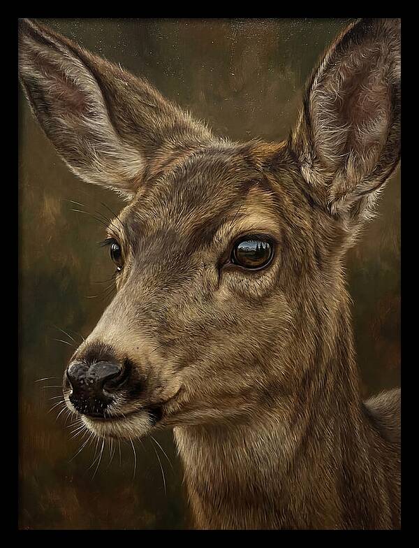 Mule Deer Portraiture
