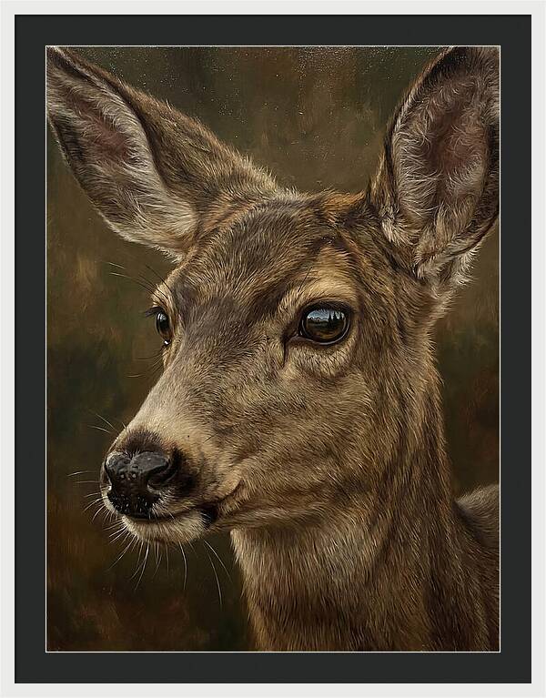Mule Deer Portraiture
