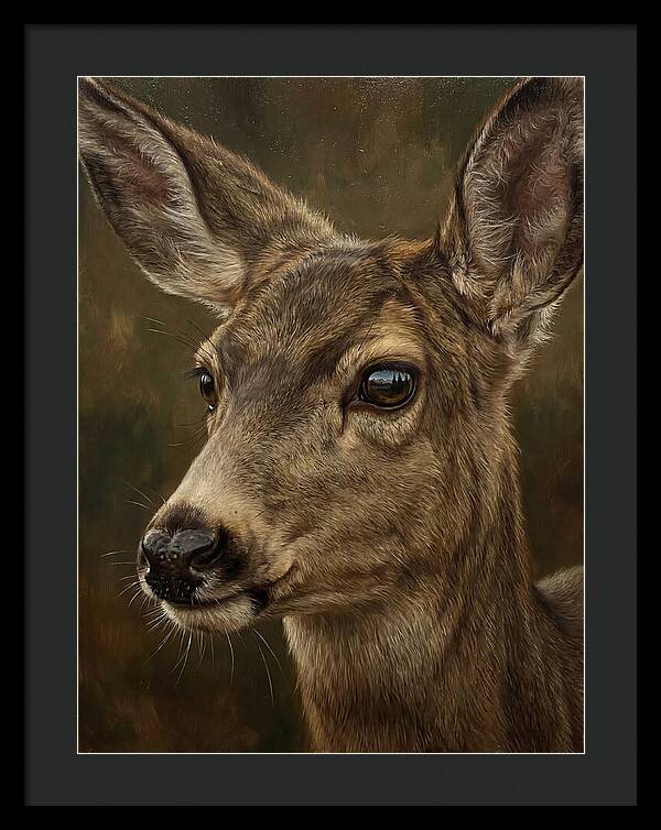 Mule Deer Portraiture