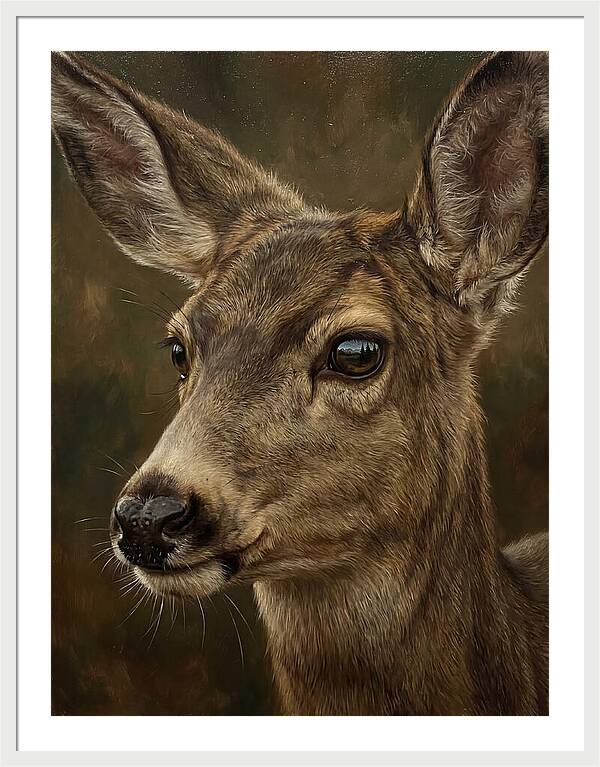 Mule Deer Portraiture