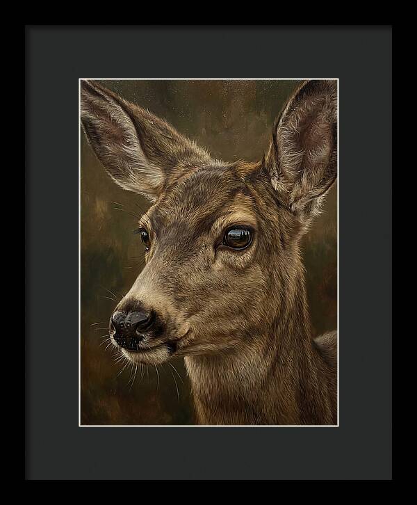 Mule Deer Portraiture