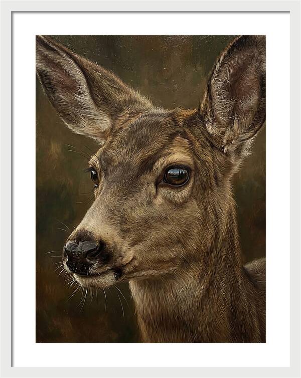 Mule Deer Portraiture