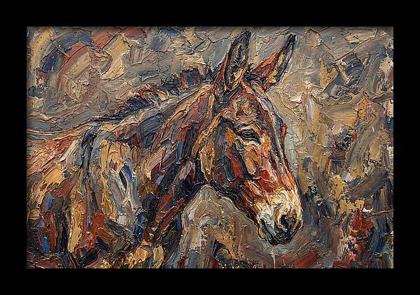Mule In Rich Textures