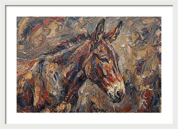 Mule In Rich Textures