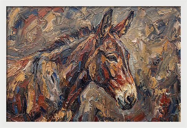 Mule In Rich Textures