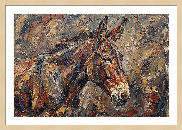 Mule In Rich Textures