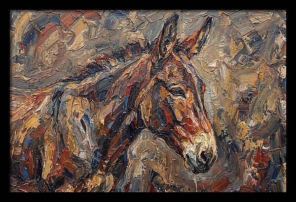 Mule In Rich Textures