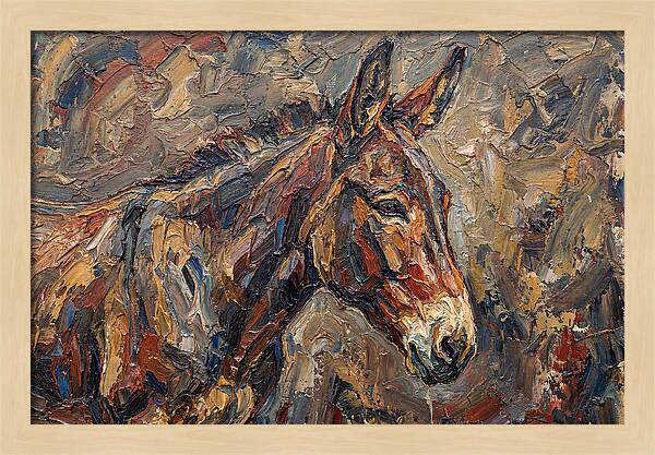 Mule In Rich Textures