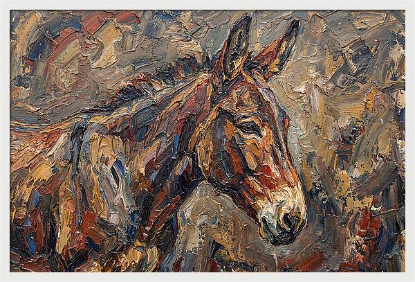 Mule In Rich Textures