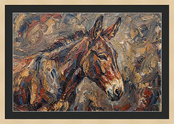 Mule In Rich Textures