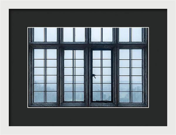 Mullion Window Division