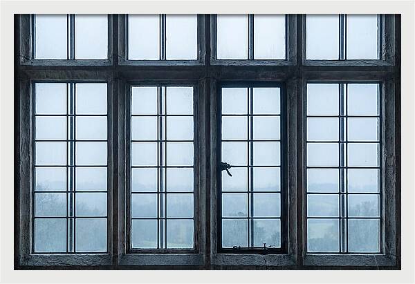 Mullion Window Division