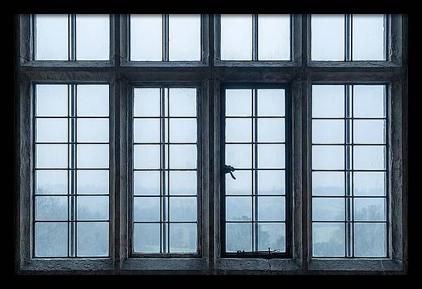 Mullion Window Division