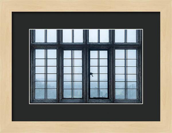 Mullion Window Division