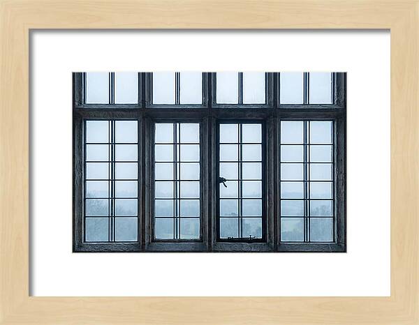 Mullion Window Division
