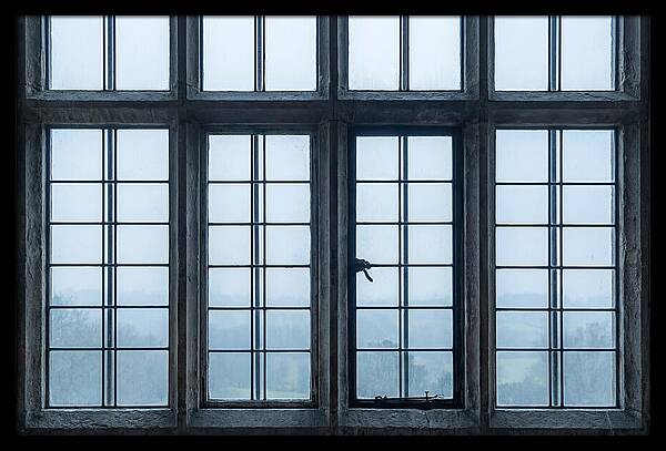 Mullion Window Division