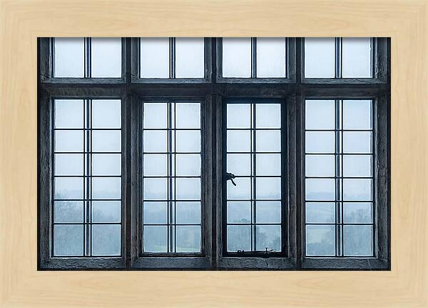 Mullion Window Division