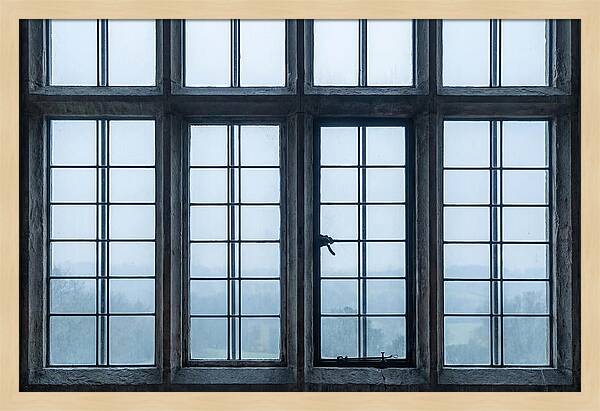 Mullion Window Division