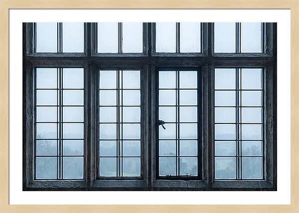 Mullion Window Division