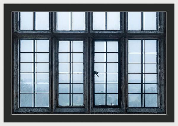 Mullion Window Division