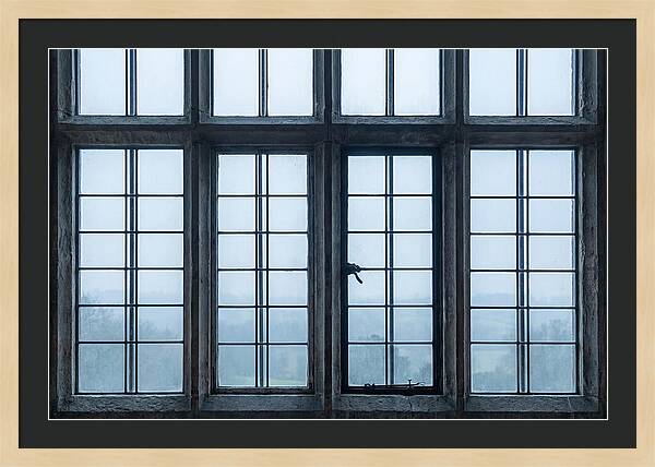 Mullion Window Division