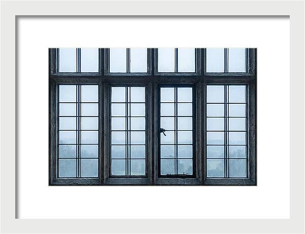 Mullion Window Division