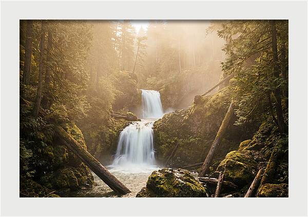 Multnomah Falls Tranquility