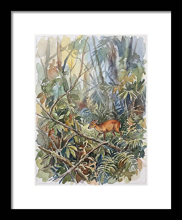 Muntjac Hidden In Greenery