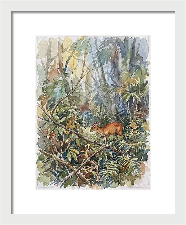 Muntjac Hidden In Greenery