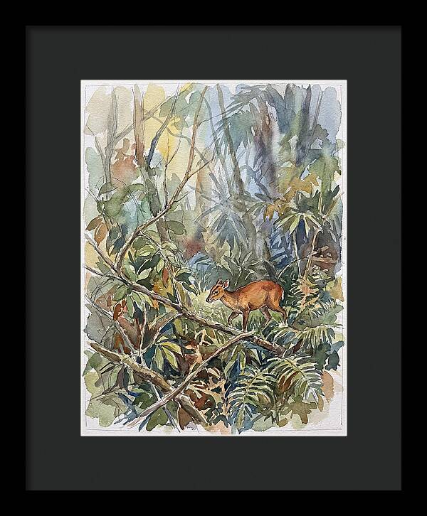 Muntjac Hidden In Greenery