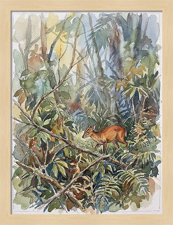 Muntjac Hidden In Greenery
