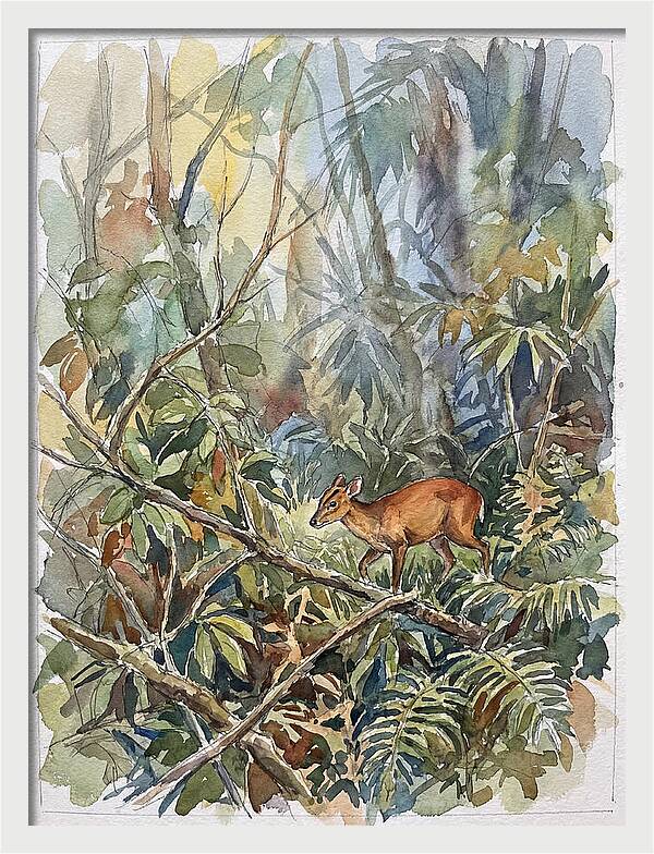Muntjac Hidden In Greenery