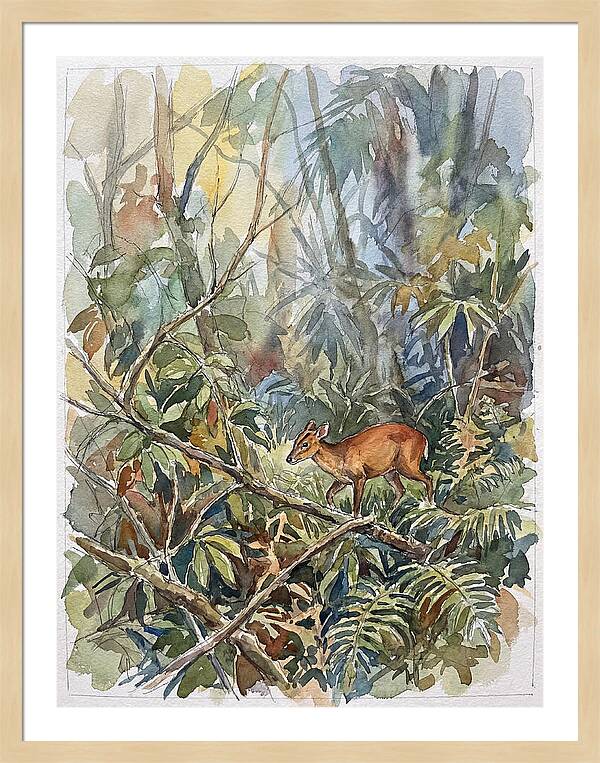 Muntjac Hidden In Greenery